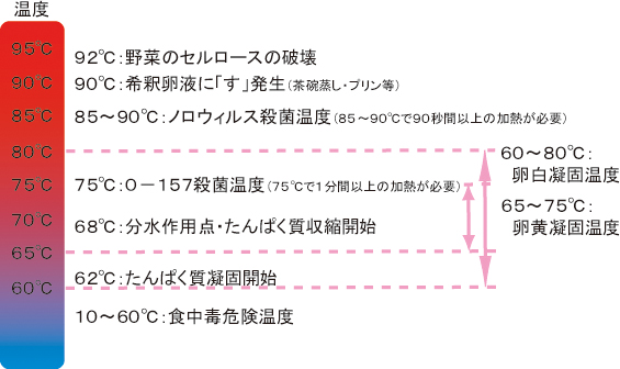 食材の温度と作用図