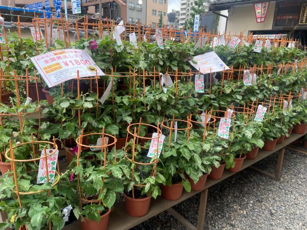 イメージ画像